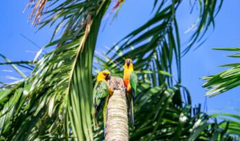 Cartão de Crédito com Limite para Negativado: Oferta Exclusiva e Fácil