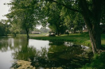 Cartão de Crédito Efi Bank: Exclusivo e Super Beneficioso