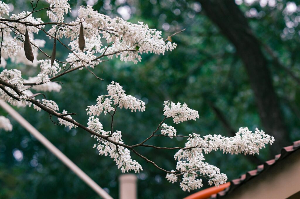 cartão de crédito fácil de ser aprovado
