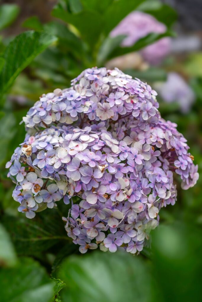 cartão de crédito foto