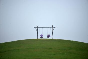 Cartão de Crédito Free: Oferta Exclusiva e Super Econômica