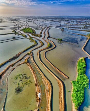 Cartão de Crédito Já É Essencial: Descubra o Melhor Agora