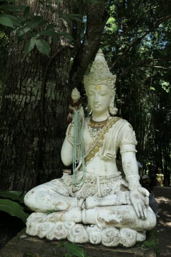 Cartão de Crédito Mais Exclusivo e Super Fácil de Usar