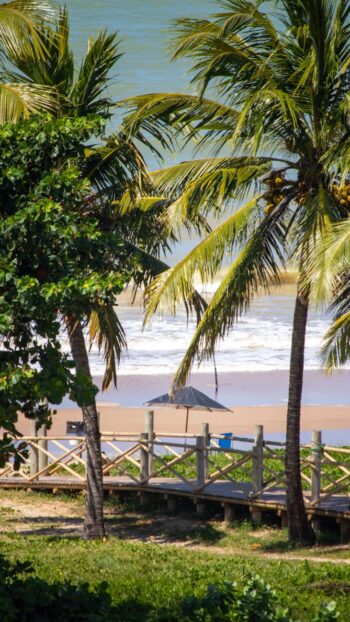 Cartão de Crédito Nubank Cancelado? Descubra o Débito Exclusivo!