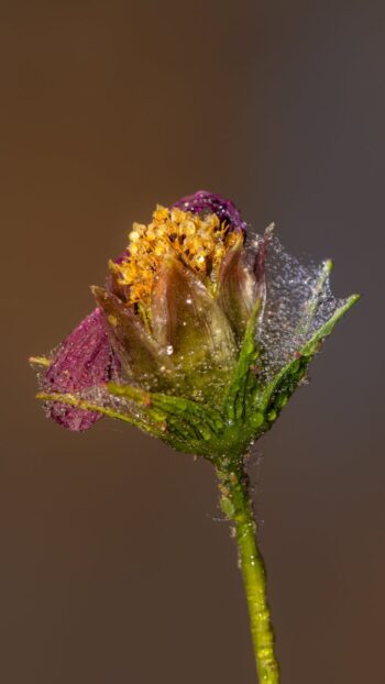 Cartão de Crédito Positivo Brasil: Exclusivo e Fácil de Usar