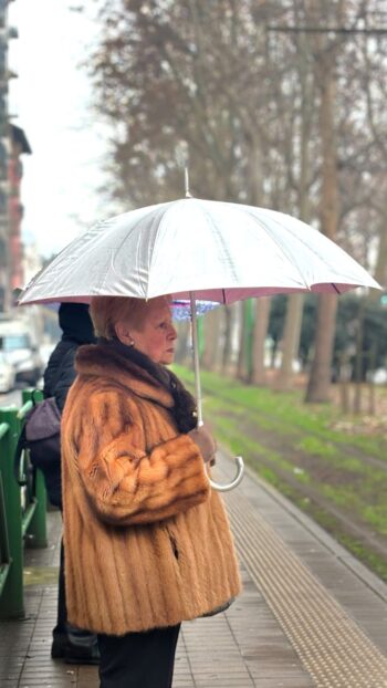 Pedir Cartão de Crédito Inter: Guia Completo e Exclusivo Fácil