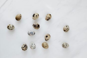 Qual Cartão de Crédito Aprova Negativado: Guia Completo e Exclusivo